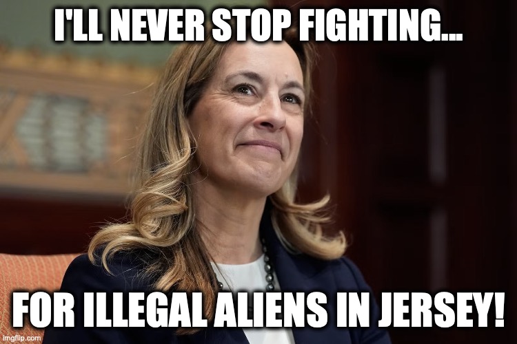 Governor Mikie Sherrill | I'll never stop fighting... for illegal aliens in Jersey! | image tagged in image 28 jpeg | made w/ Imgflip meme maker
