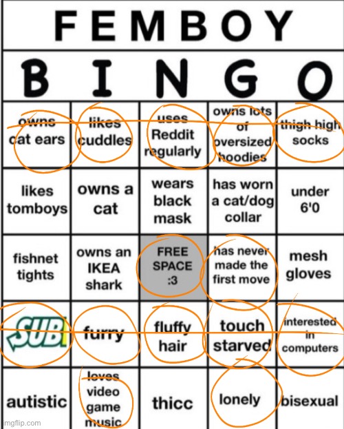 Femboy bingo results | image tagged in femboy,bingo,lgbtq | made w/ Imgflip meme maker