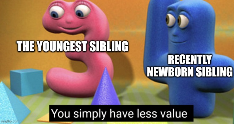 You simply have less value | The youngest sibling; Recently Newborn sibling | image tagged in you simply have less value | made w/ Imgflip meme maker