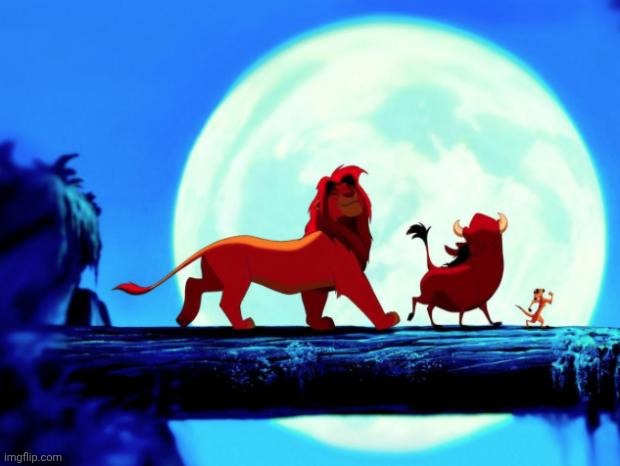 Hakuna Matata | image tagged in hakuna matata | made w/ Imgflip meme maker