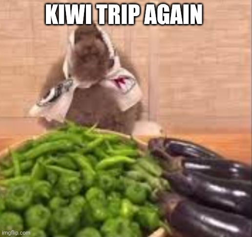 C momma | Kiwi trip again | image tagged in memes,disaster girl | made w/ Imgflip meme maker