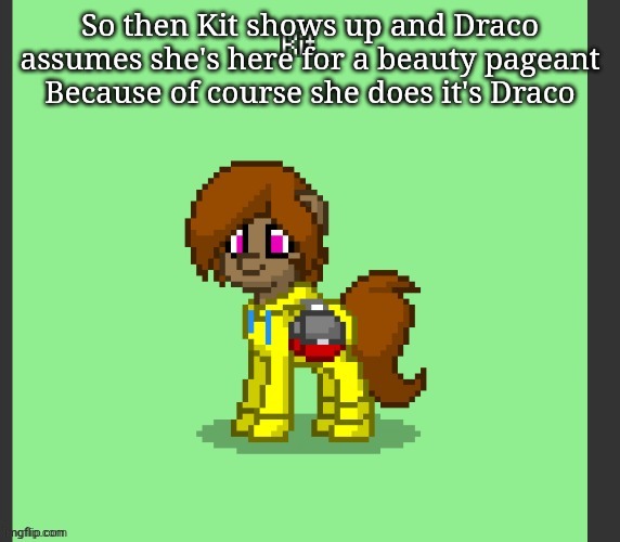 Kit in Pony Town | So then Kit shows up and Draco assumes she's here for a beauty pageant
Because of course she does it's Draco | image tagged in kit in pony town | made w/ Imgflip meme maker
