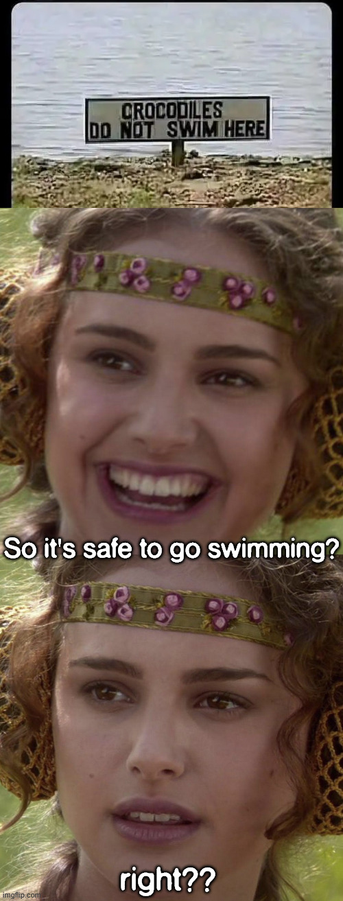Where do they swim? | So it's safe to go swimming? right?? | image tagged in dark humour,where do they swim | made w/ Imgflip meme maker