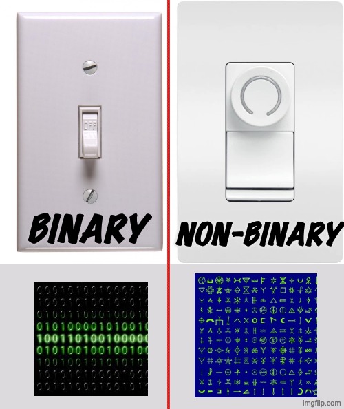 binary non-binary | image tagged in light switch off | made w/ Imgflip meme maker