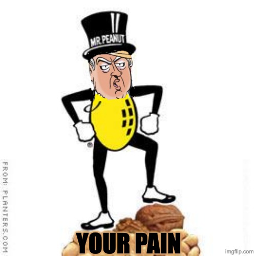 mr peanut | your pain | image tagged in mr peanut | made w/ Imgflip meme maker