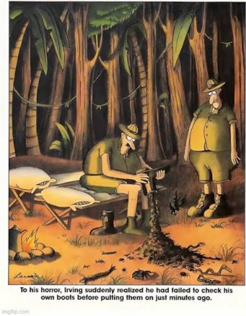 Those are some really roomy boots | image tagged in the far side,comics,jungle,boots,full,dirt | made w/ Imgflip meme maker