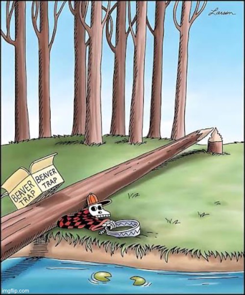 Beavers’ revenge | image tagged in the far side,comics,forest,beavers,fallen tree,skeleton | made w/ Imgflip meme maker