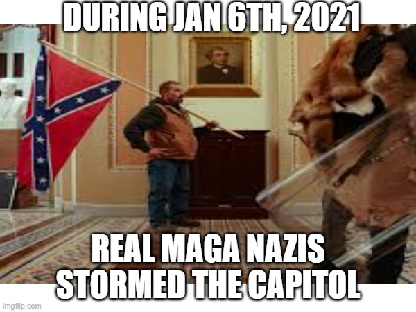 During jan 6th, 2021; real maga nazis stormed the capitol | made w/ Imgflip meme maker