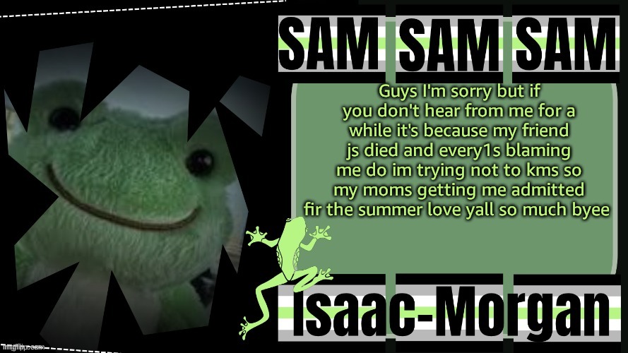 sam's fav frog temp | Guys I'm sorry but if you don't hear from me for a while it's because my friend js died and every1s blaming me do im trying not to kms so my moms getting me admitted fir the summer love yall so much byee | image tagged in sam's fav frog temp | made w/ Imgflip meme maker