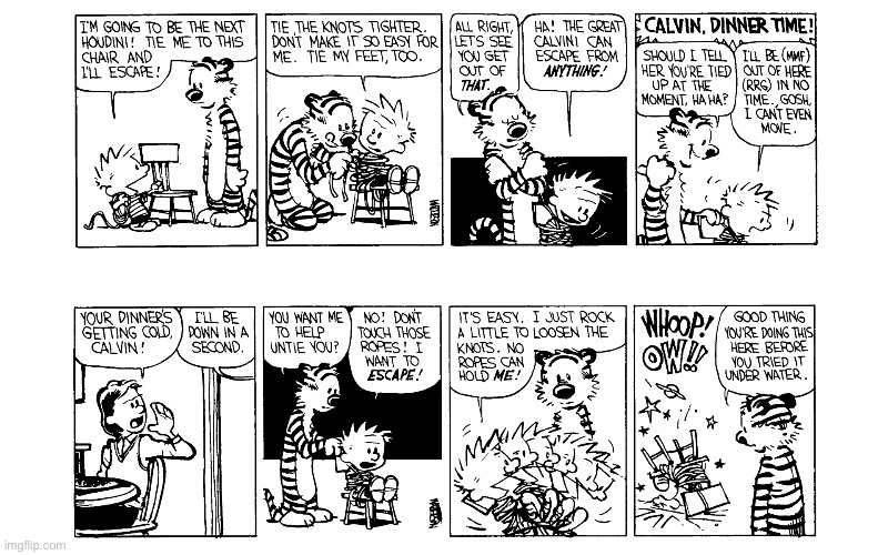 IMG_5548.jpeg | image tagged in calvin and hobbes,comics | made w/ Imgflip meme maker