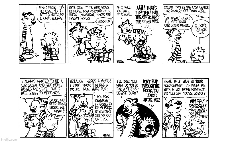 IMG_5549.jpeg | image tagged in calvin and hobbes,comics | made w/ Imgflip meme maker