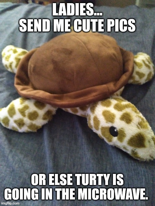 *Mmmmmmmmmmm* *beep* *beep* *beep* | image tagged in fun,latina,cute girl,pretty girl,turtle,women | made w/ Imgflip meme maker