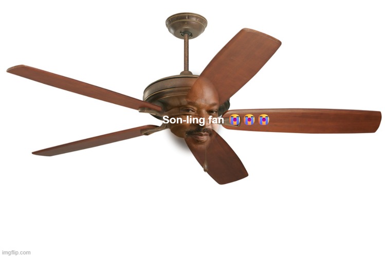 I made one too | image tagged in son-ling fan | made w/ Imgflip meme maker