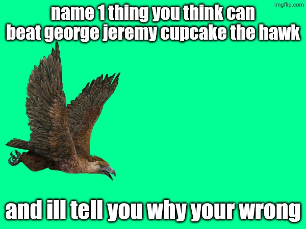 aaaaaaaaaaaaaaaaaaaaaaaaaa 11 | name 1 thing you think can beat george jeremy cupcake the hawk; and ill tell you why your wrong | image tagged in george jeremy cupcake the hawk,oc,eeee,oh no,random tag | made w/ Imgflip meme maker
