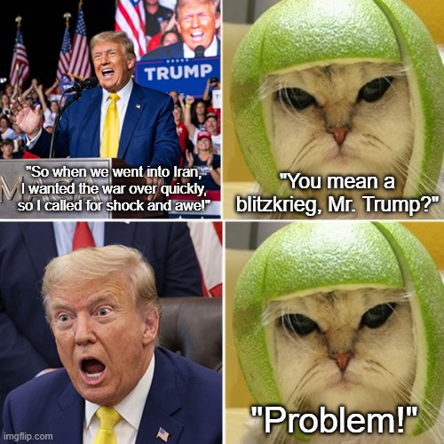 Trump's Iran Blitz | "You mean a blitzkrieg, Mr. Trump?"; "So when we went into Iran, I wanted the war over quickly, so I called for shock and awe!"; "Problem!" | image tagged in donald trump,iran,blitz,i hate donald trump,trump sucks | made w/ Imgflip meme maker