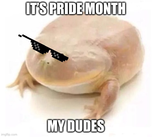 I’m not lgbtq but I’m a huge ally because of my gay friend (and you guys) | It’s pride month; My dudes | image tagged in my dudes,lgbtq,pride month,celebration | made w/ Imgflip meme maker