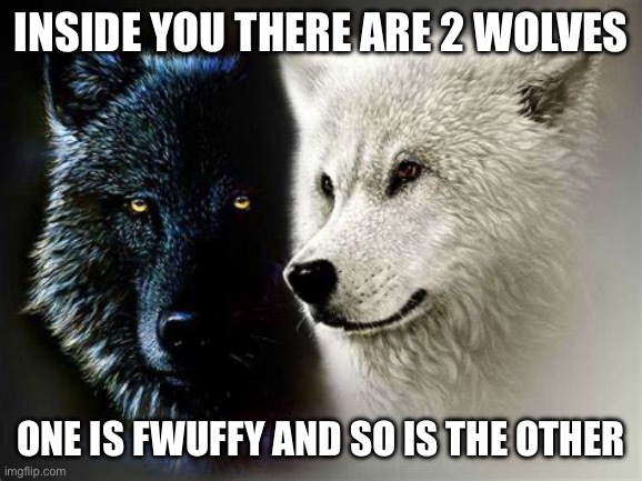 Fwuffy bois | Inside you there are 2 wolves; One is fWuffy and so is the other | image tagged in 2 wolves,meme,fwuffy,good bois | made w/ Imgflip meme maker