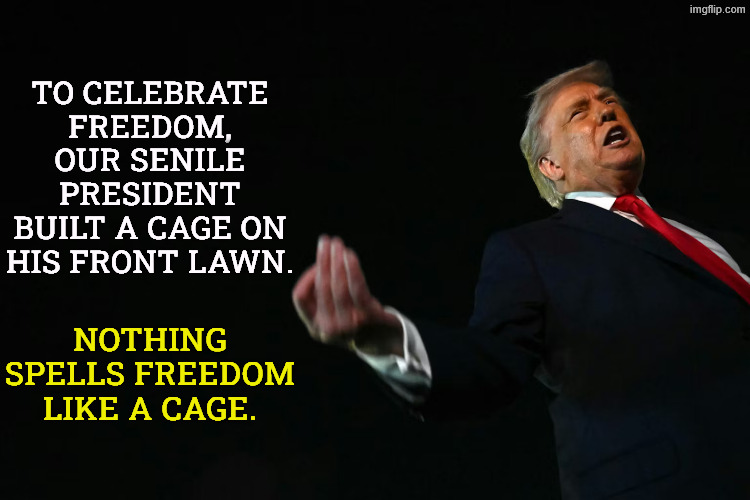 That senile creep makes no sense. | To celebrate freedom, our senile president built a cage on his front lawn. Nothing spells freedom like a cage. | image tagged in _trump crazy arm gesture avif,trump,freedom,cage,white house,insane | made w/ Imgflip meme maker