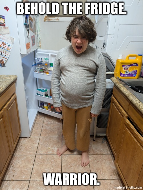 BEHOLD THE FRIDGE WARRIR | Behold ​The fridge. Warrior. | image tagged in pxl_20251009_025846835 mp jpg | made w/ Imgflip meme maker
