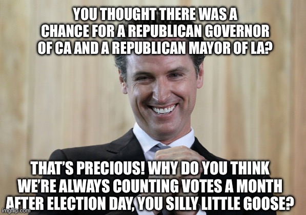 Scheming Gavin Newsom  | You thought there was a chance for a Republican governor of Ca and a Republican mayor of La? That’s precious! Why do you think we’re always counting votes a month after Election Day, you silly little goose? | image tagged in scheming gavin newsom | made w/ Imgflip meme maker
