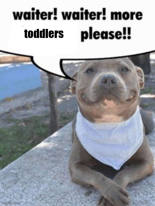waiter! pit bull | toddlers | image tagged in waiter pit bull | made w/ Imgflip meme maker