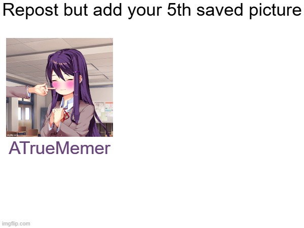 Repost but add your 5th saved picture; ATrueMemer | image tagged in why am i doing this,why tho | made w/ Imgflip meme maker