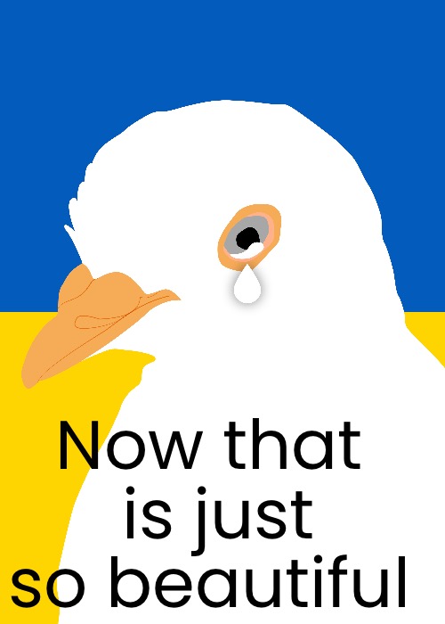 Now that 
is just so beautiful | made w/ Imgflip meme maker