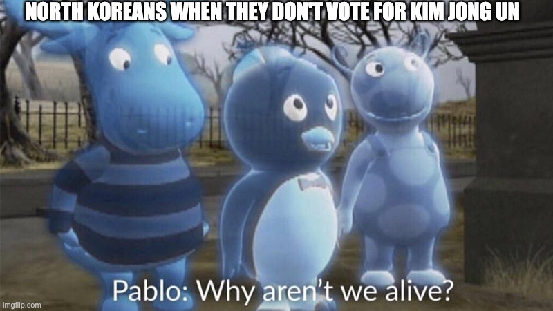 Pablo why aren't we alive? | north koreans when they don't vote for kim jong un | image tagged in pablo why aren't we alive | made w/ Imgflip meme maker
