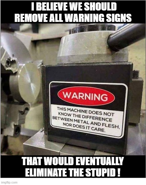 Darwinism In Action | I believe we should remove all warning signs; That would eventually
eliminate the stupid ! | image tagged in darwinism,signs,metal,flesh | made w/ Imgflip meme maker