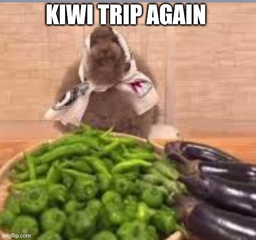 Kiwi trip again | image tagged in memes,disaster girl | made w/ Imgflip meme maker