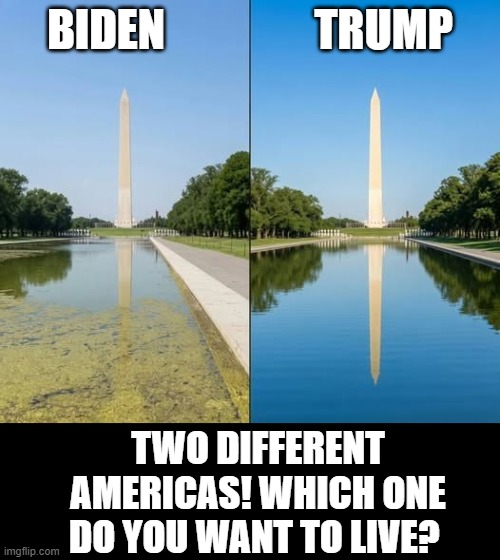 Two different Americas! Which one do you want to live? | Biden                 Trump; two different Americas! Which one do you want to live? | image tagged in you can pick only one choose wisely | made w/ Imgflip meme maker