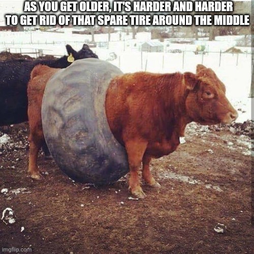 As You Get Older, It's Harder And Harder To Get Rid Of That Spare Tire Around The Middle | As you get older, it's harder and harder to get rid of that spare tire around the middle | image tagged in chrisjoines1 | made w/ Imgflip meme maker
