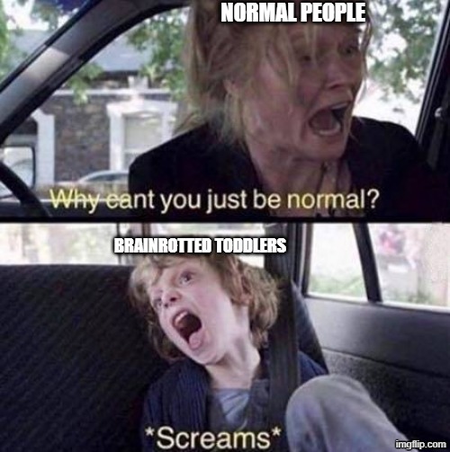 They are stupid | normal people; brainrotted toddlers | image tagged in why can't you just be normal | made w/ Imgflip meme maker