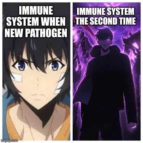 Solo Leveling | Immune system the second time; Immune system when new pathogen | image tagged in solo leveling | made w/ Imgflip meme maker