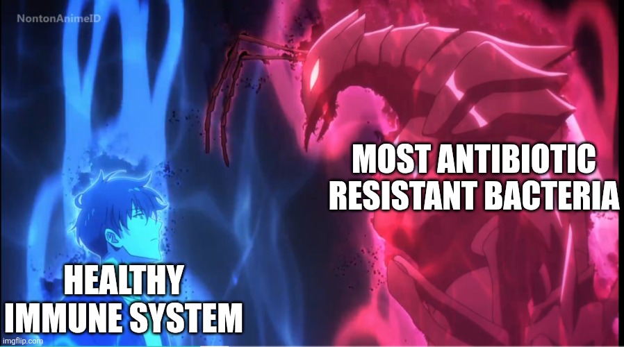 Sung Jin Woo vs Beru | Most antibiotic resistant bacteria; Healthy Immune system | image tagged in sung jin woo vs beru | made w/ Imgflip meme maker