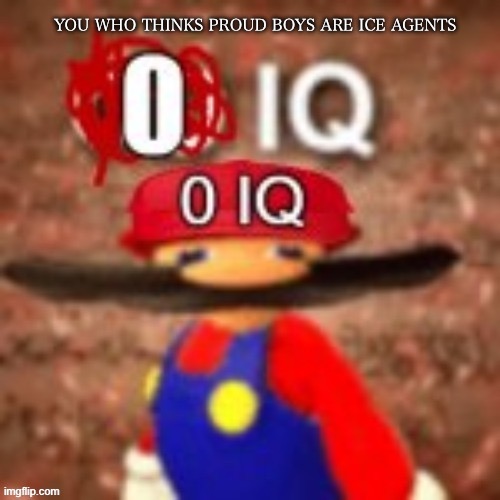 wtf dude can’t tell the difference | You who thinks proud boys are ice agents | image tagged in zero iq | made w/ Imgflip meme maker