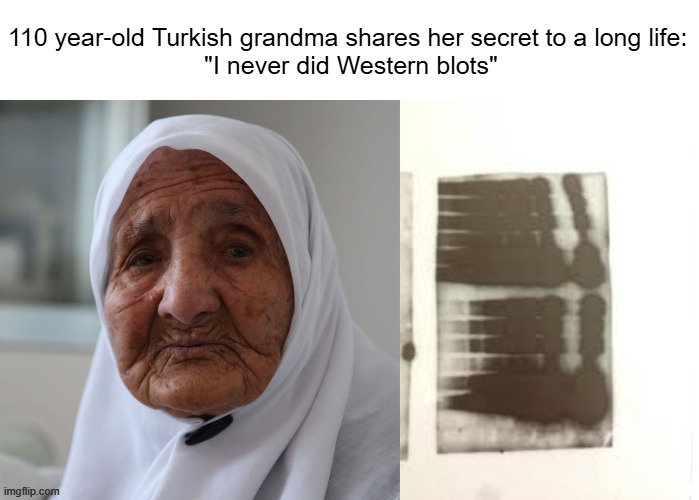 turkish grandma science | 110 year-old Turkish grandma shares her secret to a long life: 
"I never did Western blots" | image tagged in gram jpg,funny,science,turkish | made w/ Imgflip meme maker