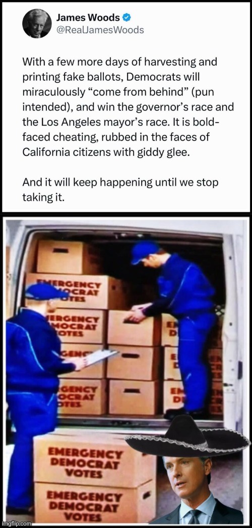 Greasy Gavin Ballot harvesting | image tagged in img 41 jpeg,greasy gavin vote fraud,harvest | made w/ Imgflip meme maker