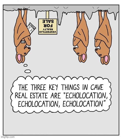 Bat Real Estate | image tagged in comics | made w/ Imgflip meme maker