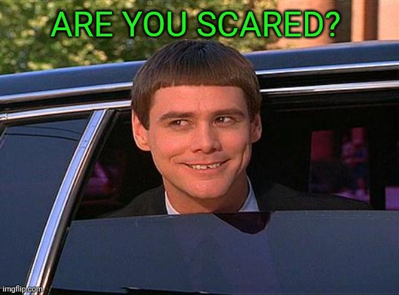 jim carrey meme  | Are you scared? | image tagged in jim carrey meme | made w/ Imgflip meme maker