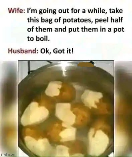 It's what she said... | image tagged in husband,cooking,potatoes,task failed successfully,can't argue with that / technically not wrong | made w/ Imgflip meme maker