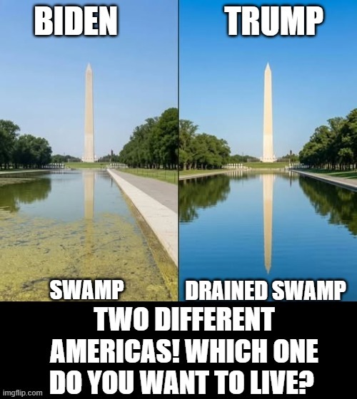 Swamp was drained!! | Drained swamp; Swamp | image tagged in drain the swamp trump | made w/ Imgflip meme maker