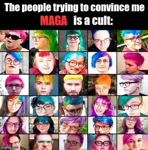 kinda ironic | The people trying to convince me; MAGA; is a cult: | image tagged in maga,liberals,dyed hair,cult,hypocrisy,politics | made w/ Imgflip meme maker