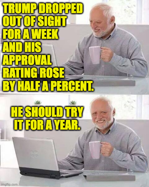 Or three. | trump dropped
out of sight
for a week
and his
approval
rating rose
by half a percent. he should try it for a year. | image tagged in memes,hide the pain harold,trump | made w/ Imgflip meme maker
