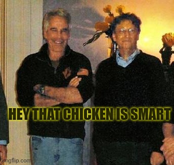 epstein and gates | Hey that chicken is smart | image tagged in epstein and gates | made w/ Imgflip meme maker