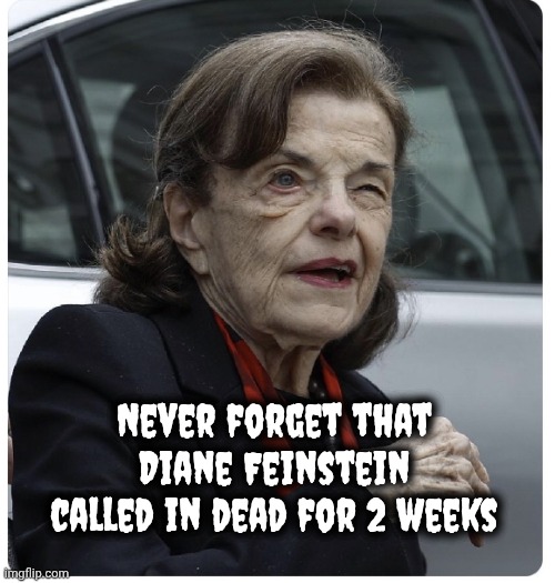 Senator Diane Feinstein | Never forget that Diane Feinstein
called in dead for 2 weeks | image tagged in senator diane feinstein | made w/ Imgflip meme maker