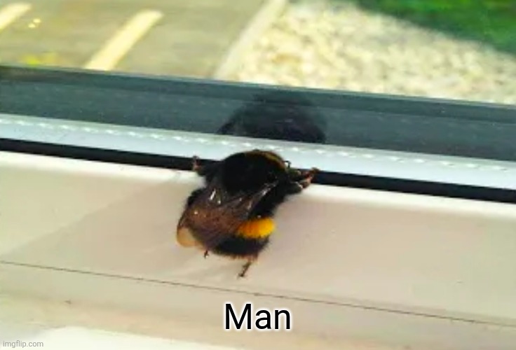 Man | made w/ Imgflip meme maker