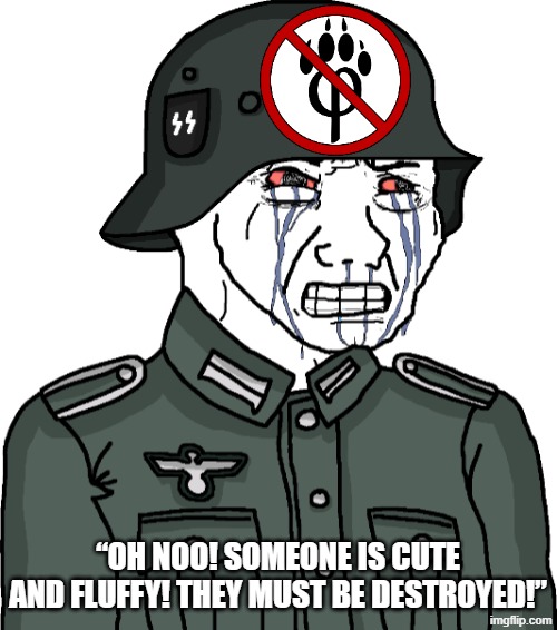 This Is an Exampwe of Wosew Behaviow | “Oh noo! Someone is cute and fluffy! They must be destroyed!” | image tagged in wojak anti-fandom s s -wehrmacht copping and seething,memes | made w/ Imgflip meme maker