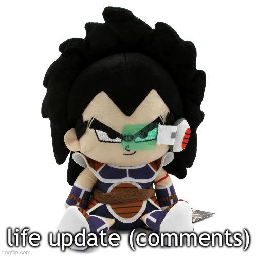 life update | life update (comments) | image tagged in raditz plush | made w/ Imgflip meme maker