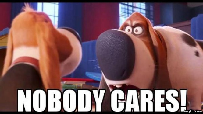 Nobody cares! | image tagged in nobody cares | made w/ Imgflip meme maker